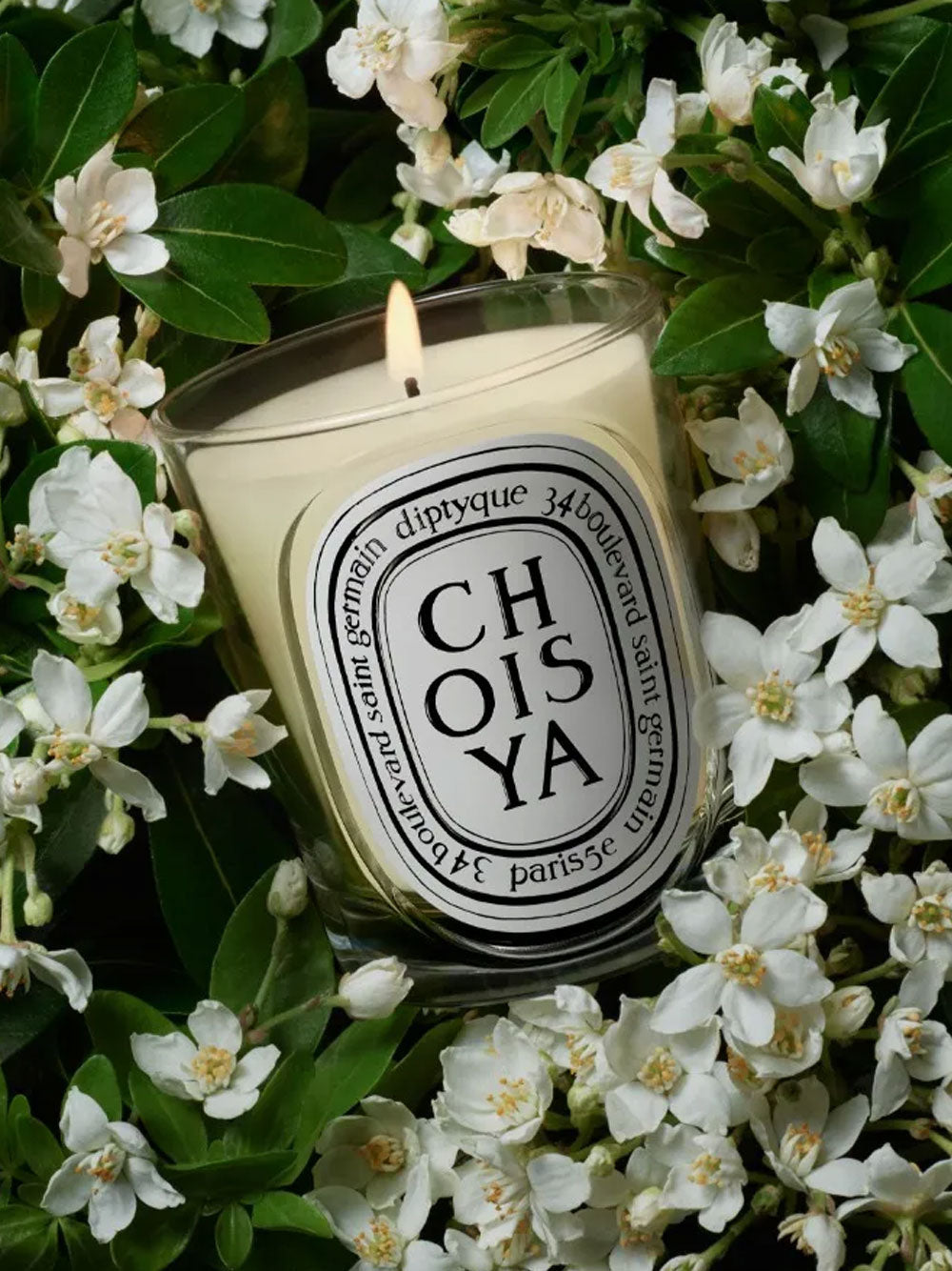 Diptyque Candles And Fragrances