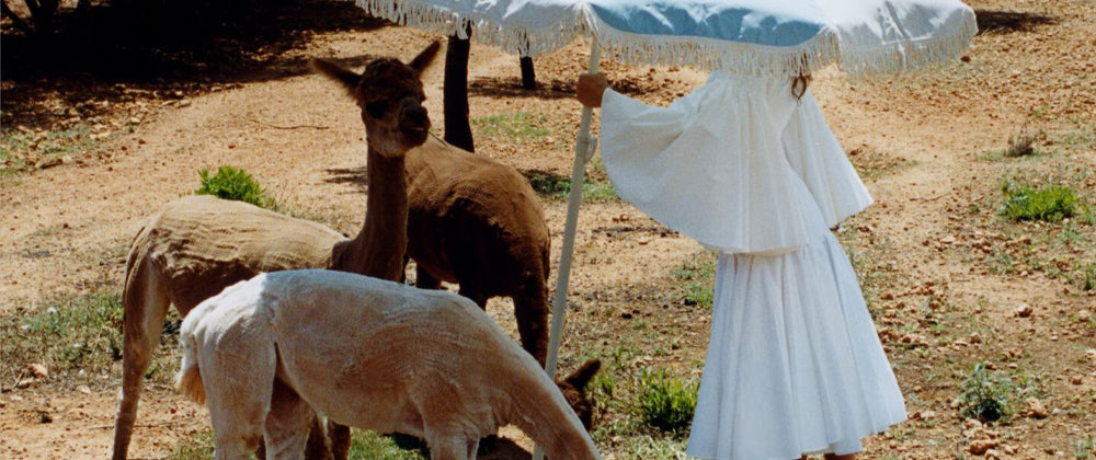 Jacquemus Women