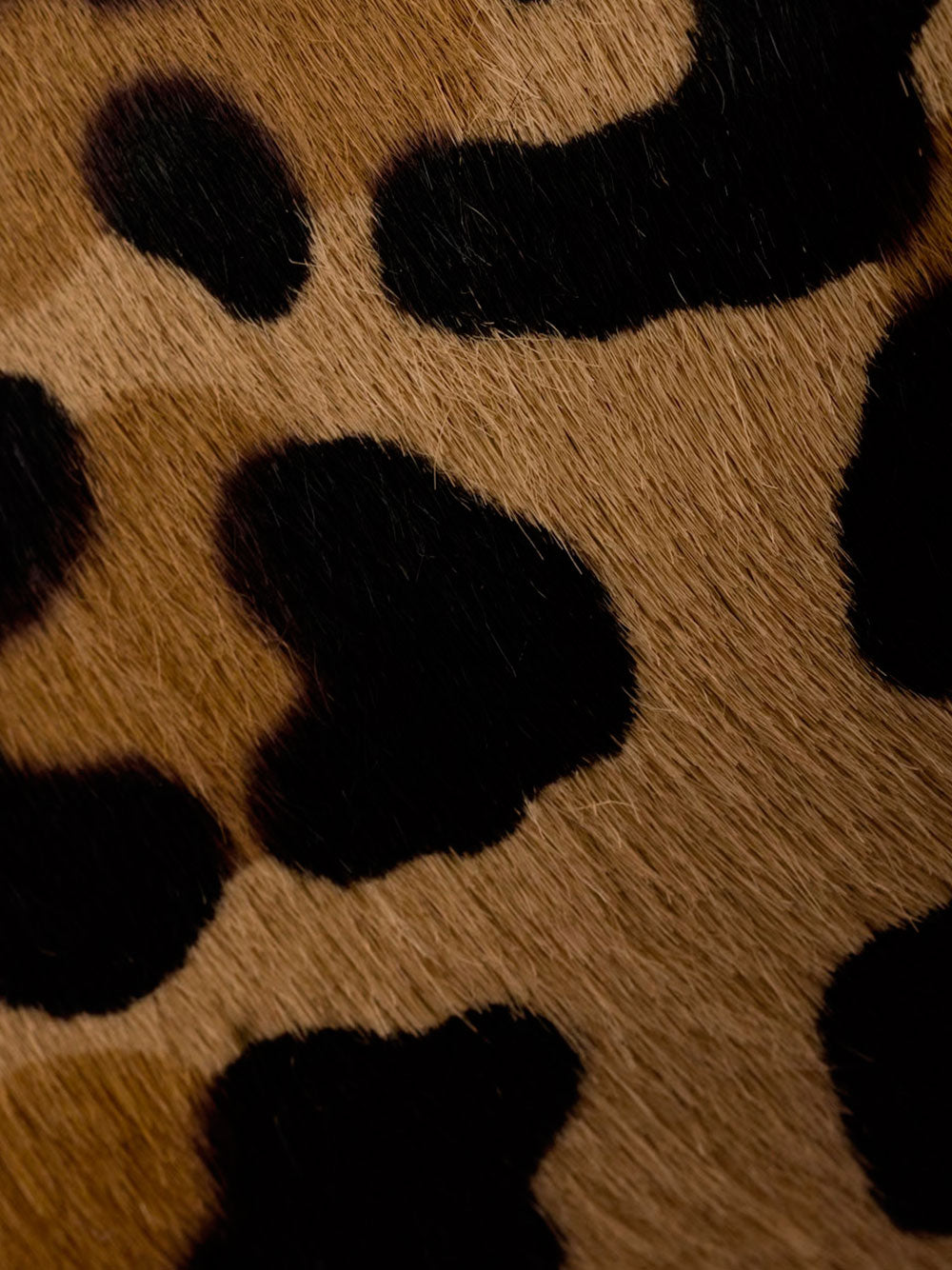 Arqué printed shoulder bag