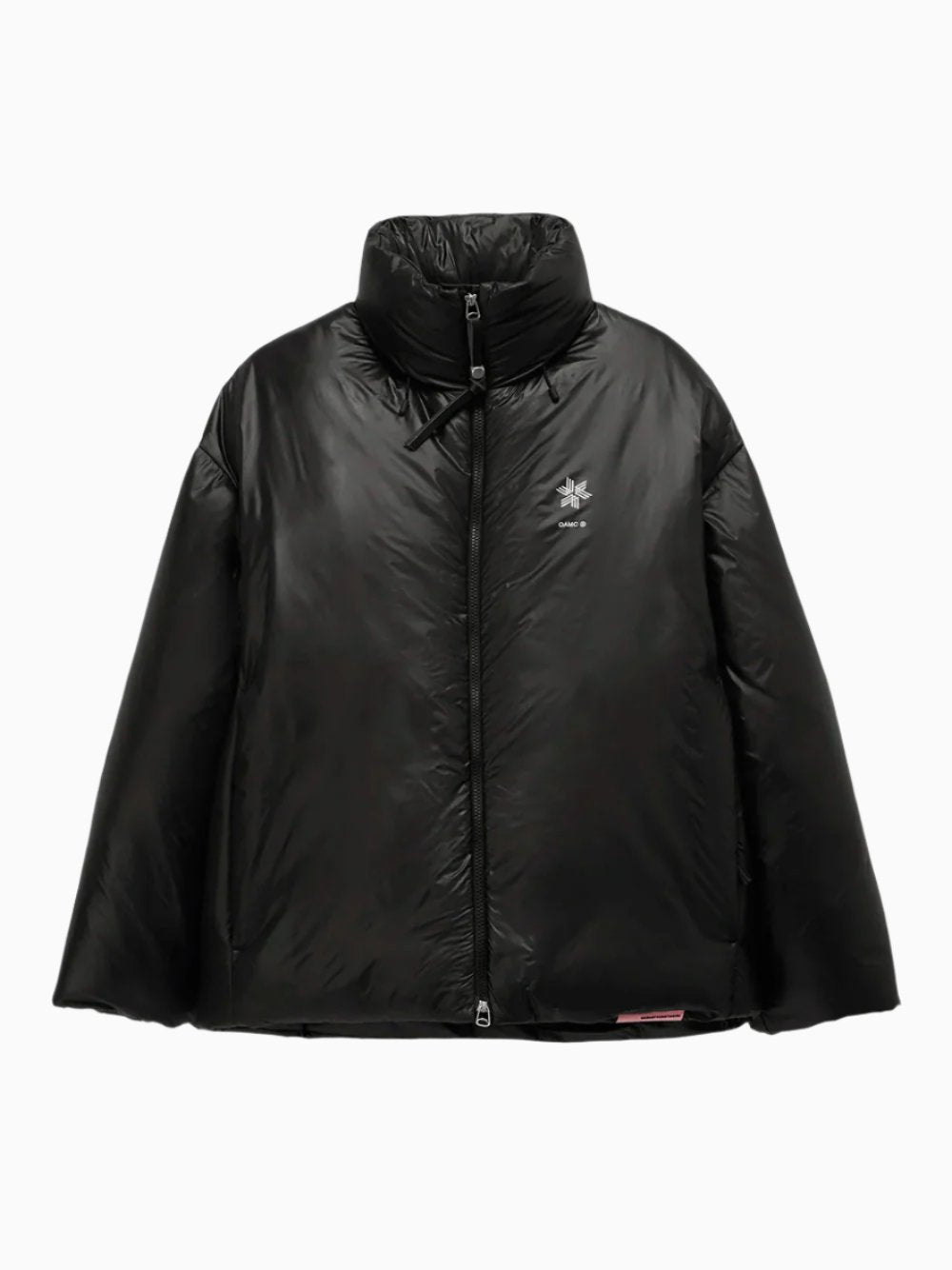 OAMC X GOLDWIN down jacket