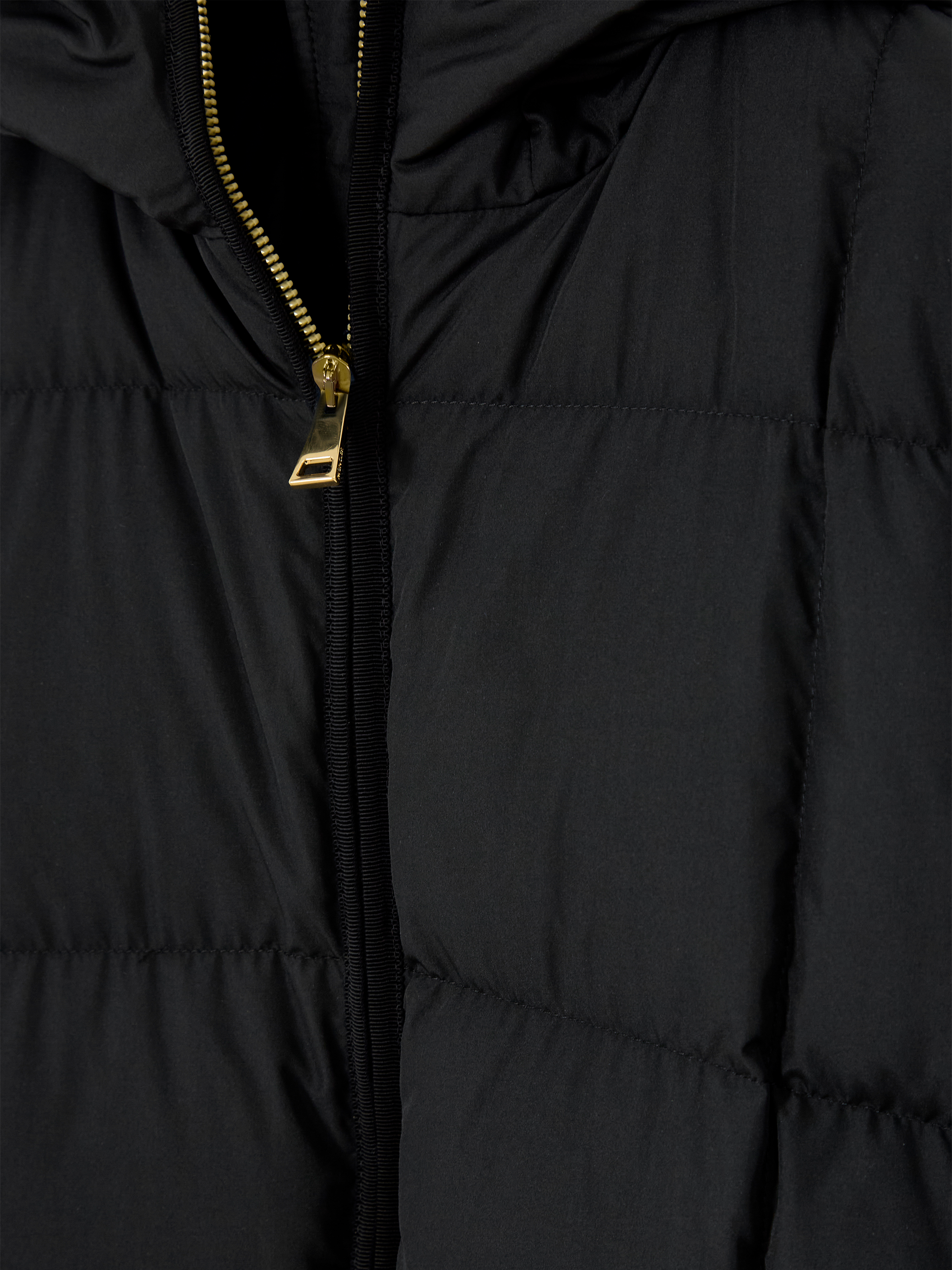 Darbon down jacket