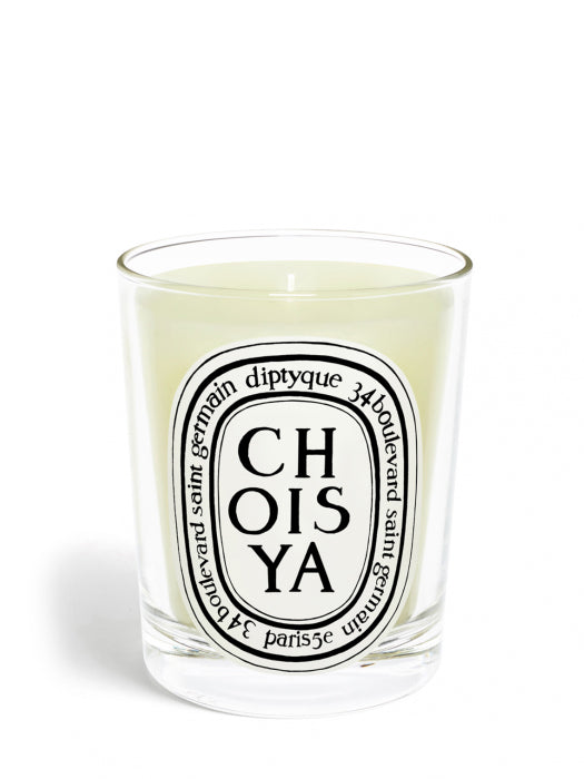 Choisya candle