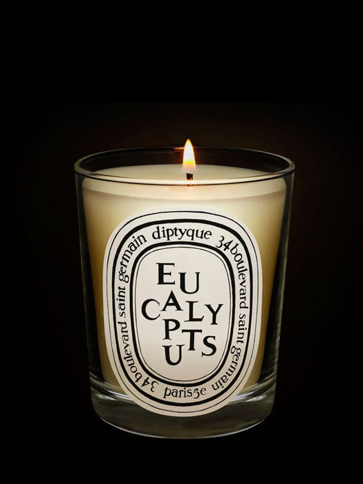 Eucalyptus candle 190gr