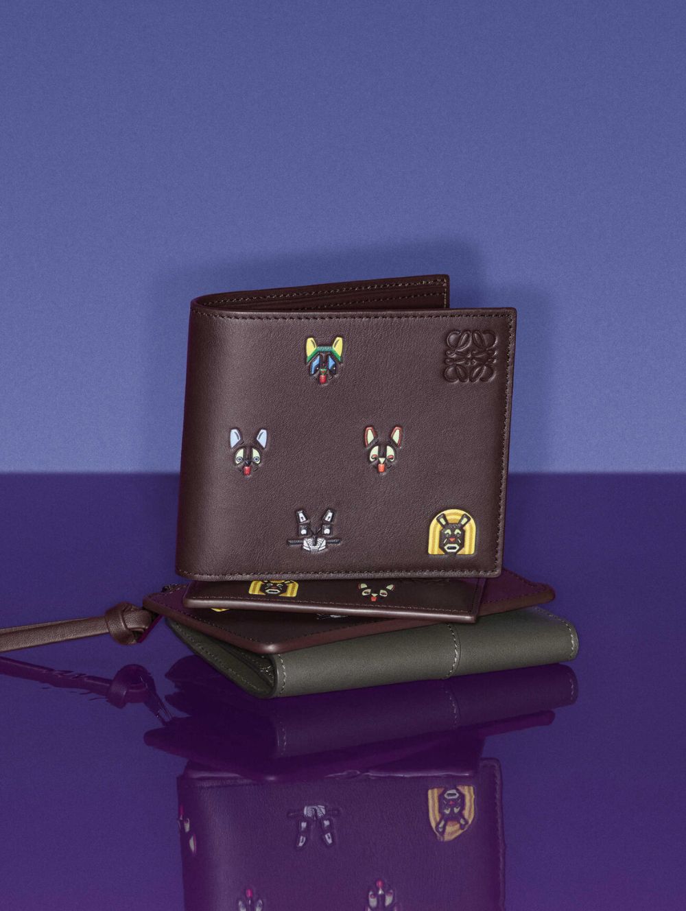 Loewe x  Louis Wain