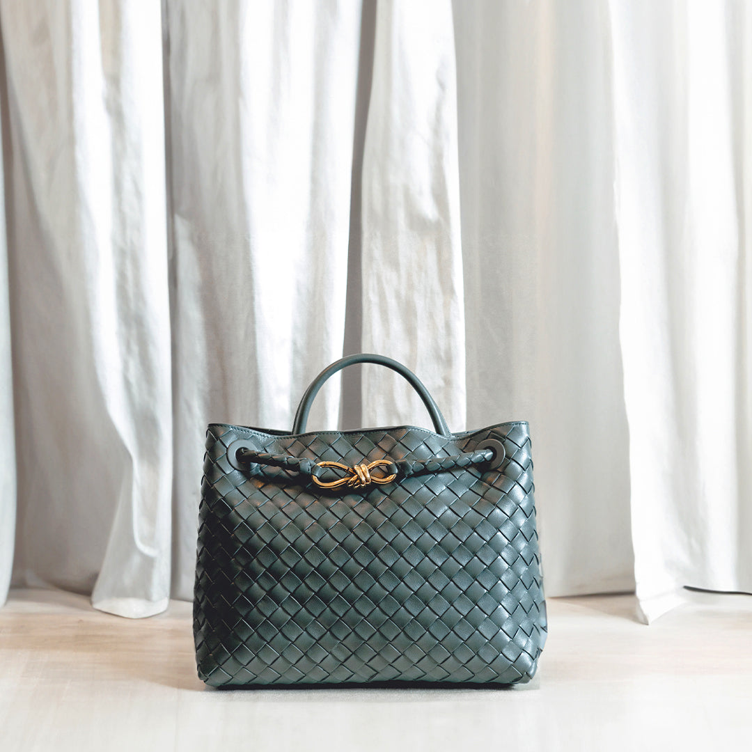 Bottega Veneta Andiamo bag