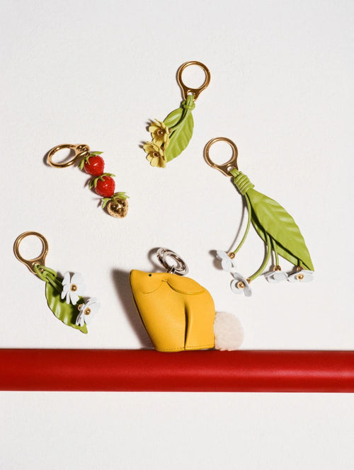 Loewe women's accessories