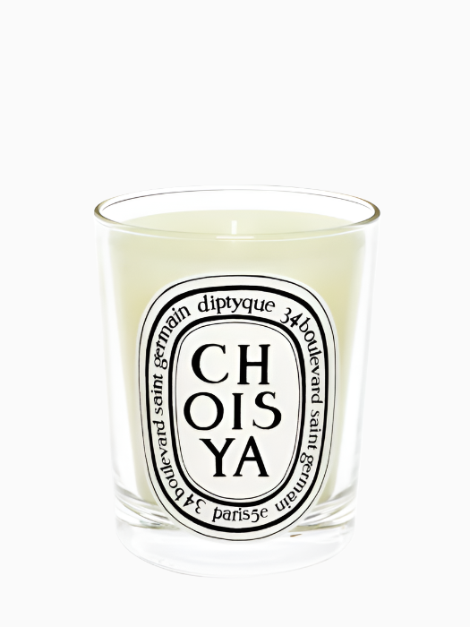 Choisya candle