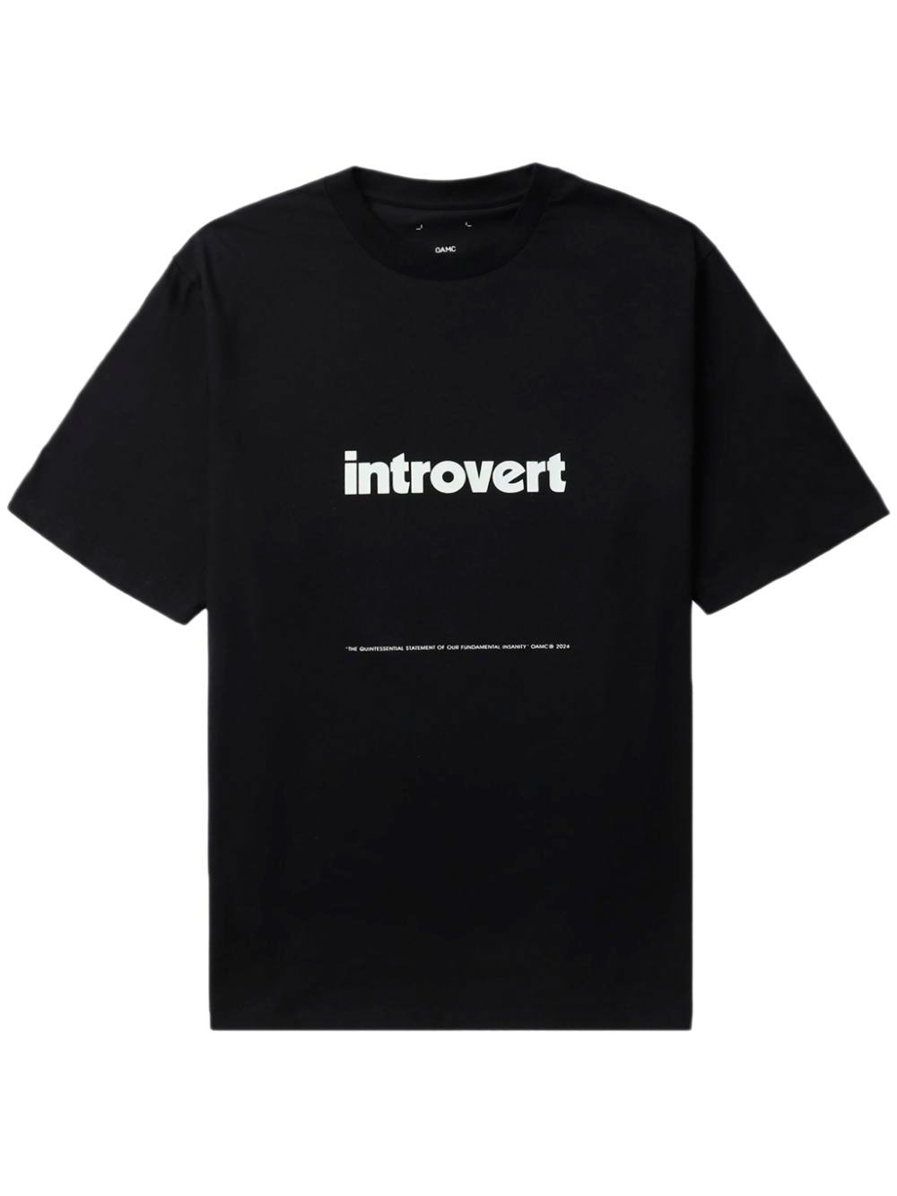 Camiseta Introvert