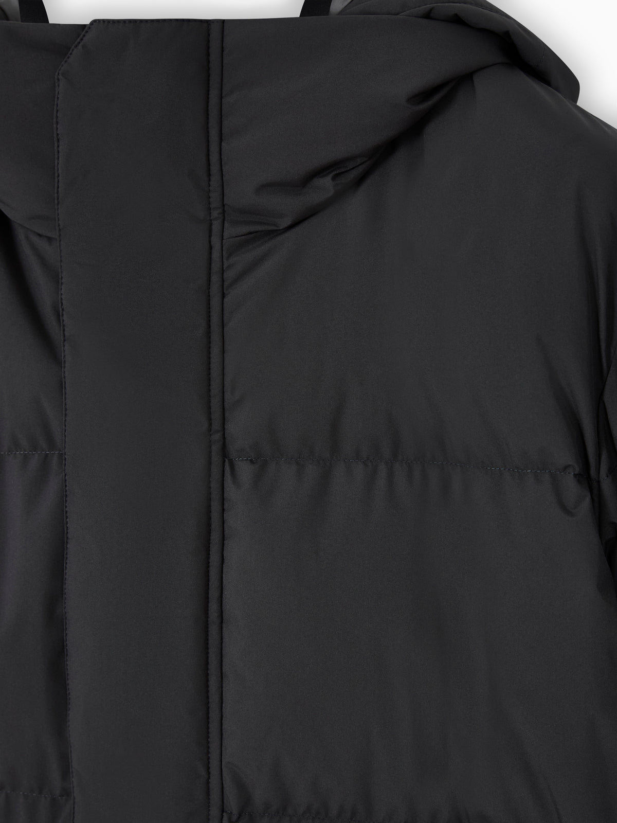 Hooded puffer