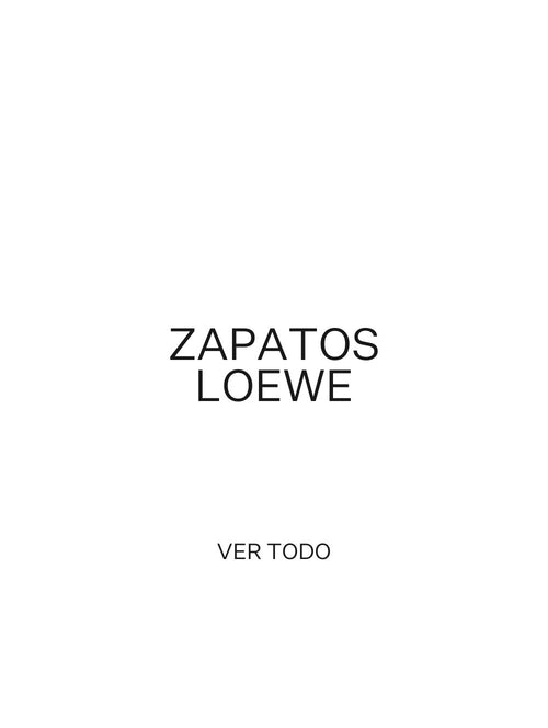 Zapatos Loewe