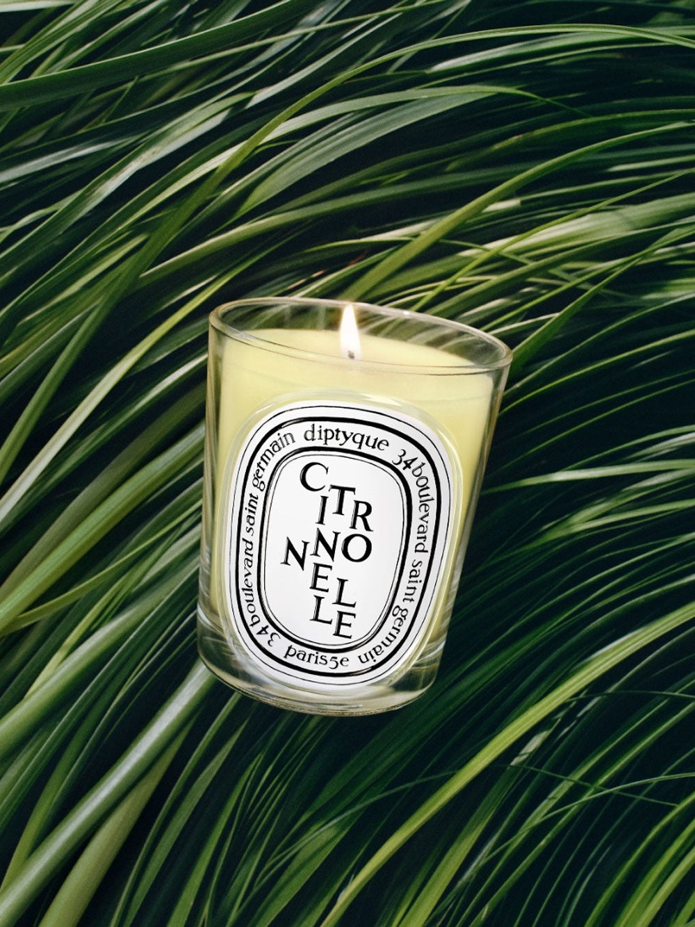 Vela Citronnelle  190g