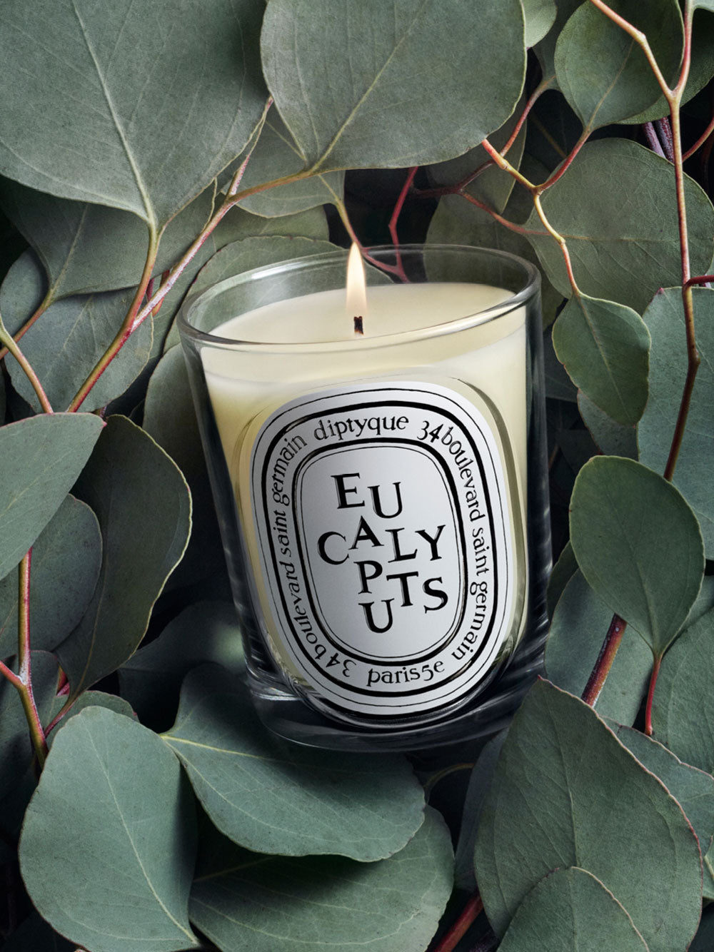 Vela Eucalyptus / Eucalipto 190gr