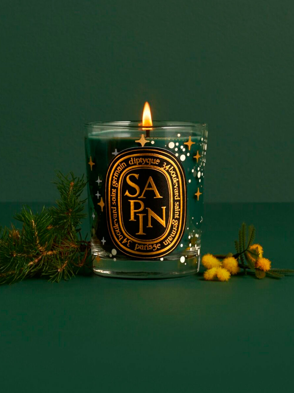 DIPTYQUE Limited Edition YLANG 190g Candle Eden outlet Rock