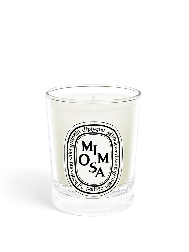 Mimosa small candle 70g
